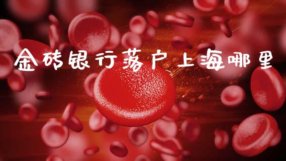 金砖银行落户上海哪里_https://m.qdlswl.com_恒指德指直播室_第1张