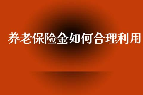 养老保险金如何合理利用_https://m.qdlswl.com_恒生指数直播喊单_第1张
