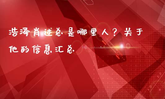 浩泽肖述总是哪里人？关于他的信息汇总_https://m.qdlswl.com_恒生指数直播喊单_第1张