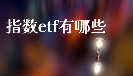 指数etf有哪些_https://m.qdlswl.com_恒生指数直播喊单_第1张