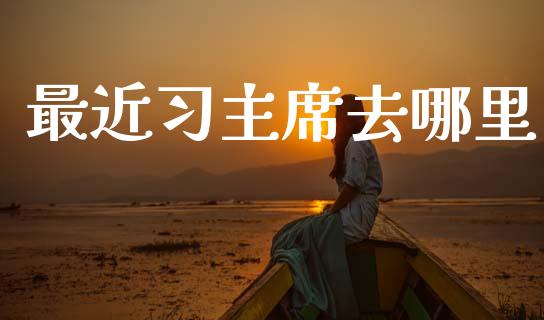 最近习主席去哪里_https://m.qdlswl.com_恒生指数直播喊单_第1张