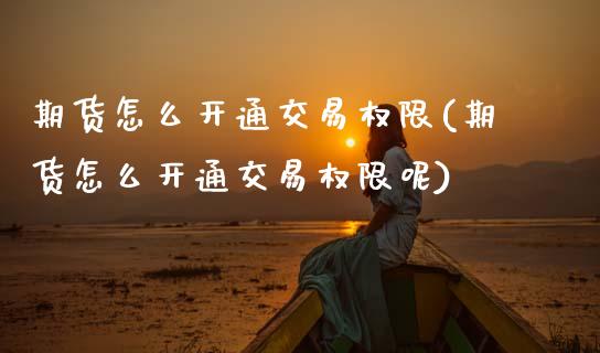 期货怎么开通交易权限(期货怎么开通交易权限呢)_https://m.qdlswl.com_恒指德指直播室_第1张