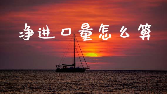 净进口量怎么算_https://m.qdlswl.com_恒指德指直播室_第1张