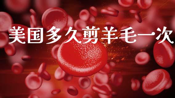 美国多久剪羊毛一次_https://m.qdlswl.com_恒生指数直播喊单_第1张