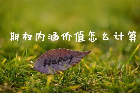 期权内涵价值怎么计算_https://m.qdlswl.com_恒生指数直播喊单_第1张
