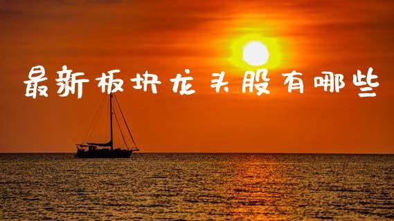 最新板块龙头股有哪些_https://m.qdlswl.com_恒指德指直播室_第1张