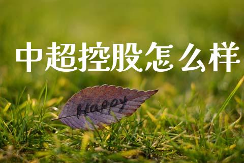 中超控股怎么样_https://m.qdlswl.com_恒生指数直播喊单_第1张
