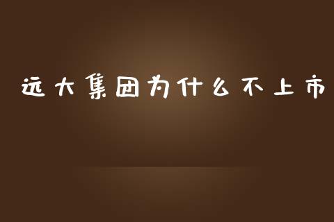 远大集团为什么不上市_https://m.qdlswl.com_纳指直播_第1张