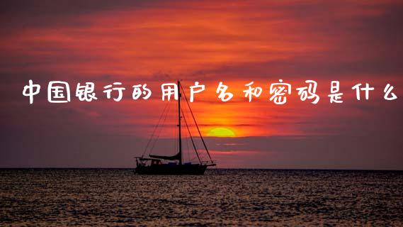 中国银行的用户名和密码是什么_https://m.qdlswl.com_恒指德指直播室_第1张