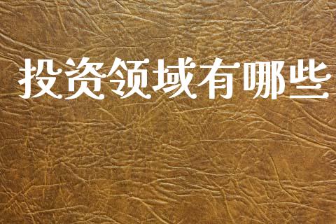 投资领域有哪些_https://m.qdlswl.com_恒指在线直播间_第1张