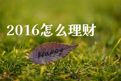 2016怎么理财_https://m.qdlswl.com_恒生指数直播喊单_第1张