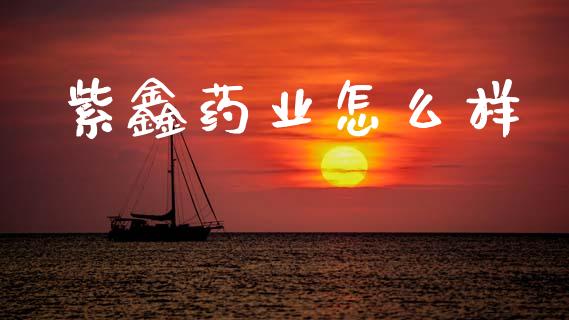 紫鑫药业怎么样_https://m.qdlswl.com_恒指德指直播室_第1张
