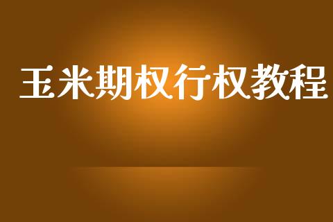 玉米期权行权教程_https://m.qdlswl.com_恒指德指直播室_第1张