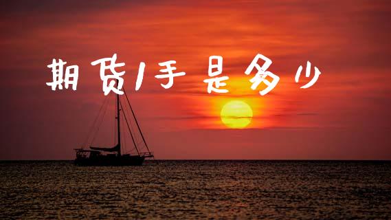 期货1手是多少_https://m.qdlswl.com_恒生指数直播喊单_第1张