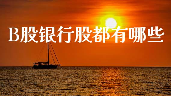 B股银行股都有哪些_https://m.qdlswl.com_恒生指数直播喊单_第1张