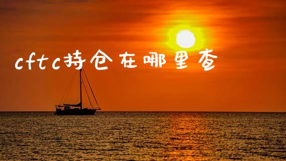 cftc持仓在哪里查_https://m.qdlswl.com_恒生指数直播喊单_第1张
