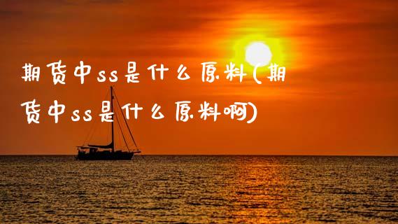 期货中ss是什么原料(期货中ss是什么原料啊)_https://m.qdlswl.com_恒指德指直播室_第1张