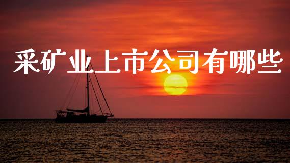 采矿业上市公司有哪些_https://m.qdlswl.com_恒指在线直播间_第1张