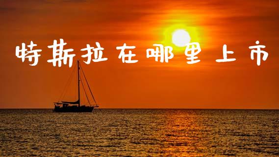 特斯拉在哪里上市_https://m.qdlswl.com_恒指在线直播间_第1张