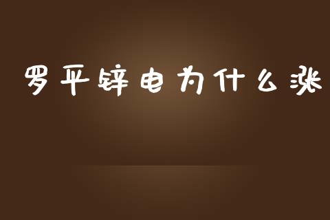 罗平锌电为什么涨_https://m.qdlswl.com_恒生指数直播喊单_第1张