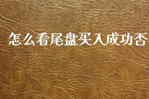 怎么看尾盘买入成功否_https://m.qdlswl.com_恒指德指直播室_第1张