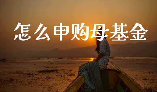 怎么申购母基金_https://m.qdlswl.com_恒生指数直播喊单_第1张