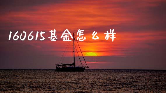 160615基金怎么样_https://m.qdlswl.com_纳指直播_第1张