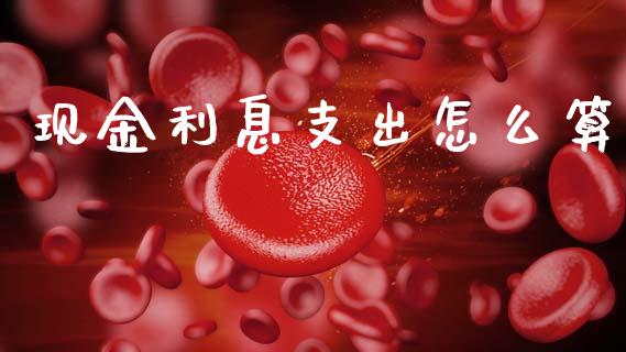 现金利息支出怎么算_https://m.qdlswl.com_纳指直播_第1张