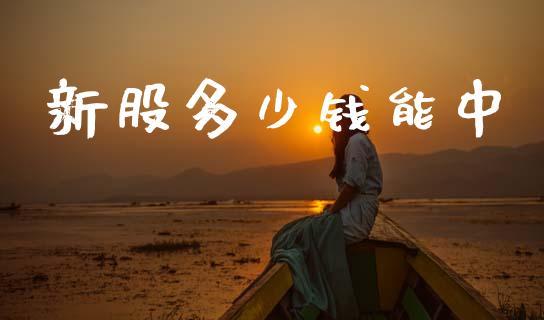 新股多少钱能中_https://m.qdlswl.com_恒指在线直播间_第1张