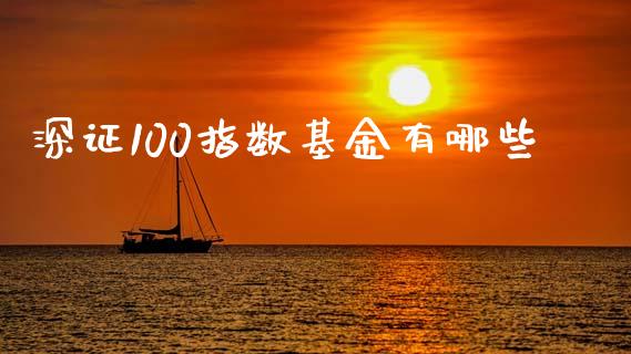 深证100指数基金有哪些_https://m.qdlswl.com_恒指在线直播间_第1张