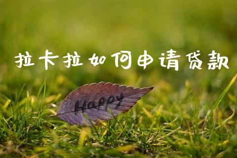 拉卡拉如何申请贷款_https://m.qdlswl.com_恒指在线直播间_第1张