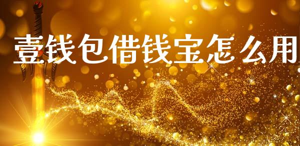 壹钱包借钱宝怎么用_https://m.qdlswl.com_恒指德指直播室_第1张