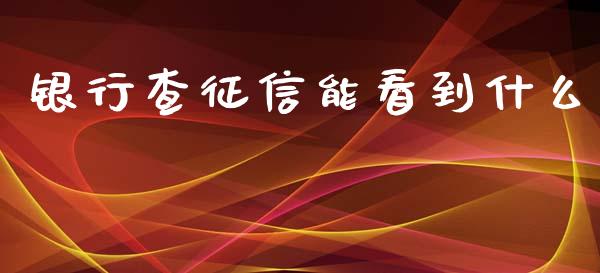 银行查征信能看到什么_https://m.qdlswl.com_恒生指数直播喊单_第1张