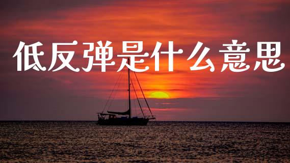 低反弹是什么意思_https://m.qdlswl.com_恒指在线直播间_第1张