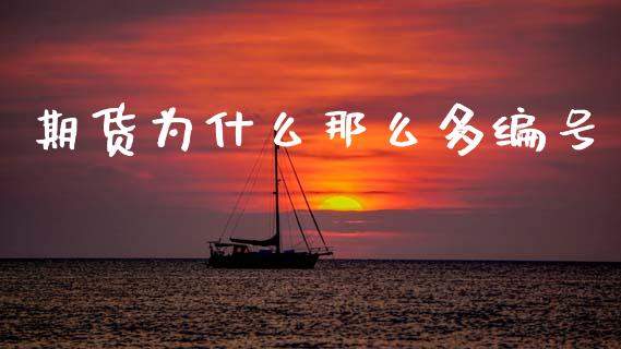 期货为什么那么多编号_https://m.qdlswl.com_恒生指数直播喊单_第1张