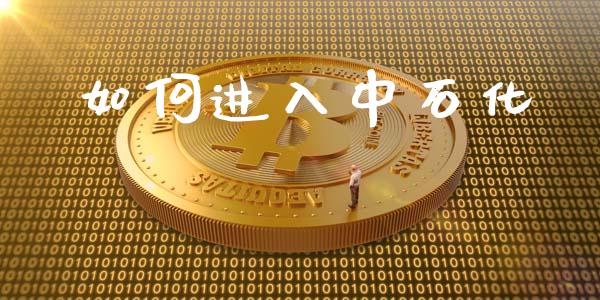 如何进入中石化_https://m.qdlswl.com_纳指直播_第1张