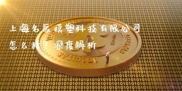 上海名辰模塑科技有限公司怎么样？深度解析_https://m.qdlswl.com_纳指直播_第1张