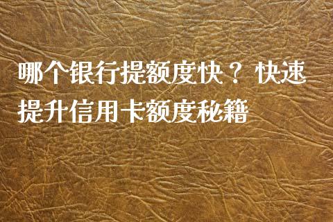 哪个银行提额度快？ 快速提升信用卡额度秘籍_https://m.qdlswl.com_纳指直播_第1张