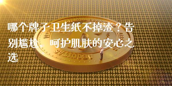 哪个牌子卫生纸不掉渣？告别尴尬，呵护肌肤的安心之选_https://m.qdlswl.com_恒指在线直播间_第1张