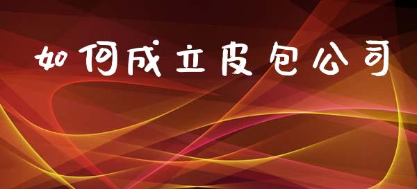 如何成立皮包公司_https://m.qdlswl.com_恒指在线直播间_第1张