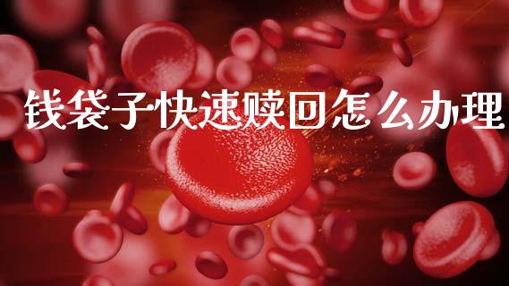钱袋子快速赎回怎么办理_https://m.qdlswl.com_恒指在线直播间_第1张