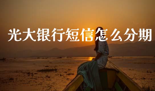 光大银行短信怎么分期_https://m.qdlswl.com_纳指直播_第1张