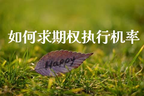 如何求期权执行机率_https://m.qdlswl.com_恒生指数直播喊单_第1张