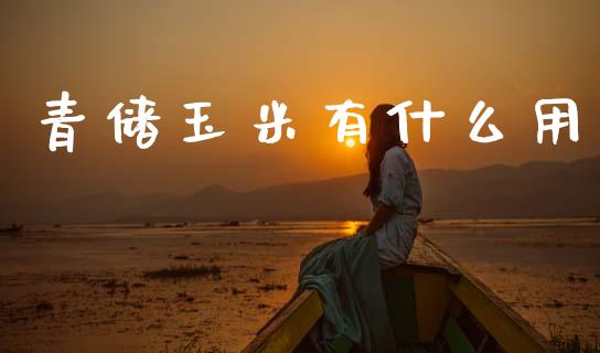 青储玉米有什么用_纳指直播_第1张_恒生指数直播喊单_恒指在线直播间_恒指德指直播室_纳指直播 青储玉米有什么用_https://m.qdlswl.com_纳指直播_第1张