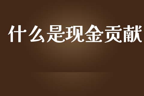 什么是现金贡献_https://m.qdlswl.com_恒生指数直播喊单_第1张