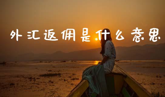 外汇返佣是什么意思_https://m.qdlswl.com_恒指在线直播间_第1张