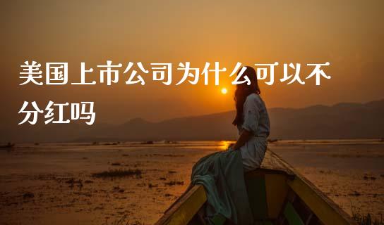 美国上市公司为什么可以不分红吗_https://m.qdlswl.com_恒指在线直播间_第1张