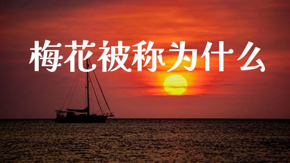 梅花被称为什么_https://m.qdlswl.com_恒指德指直播室_第1张