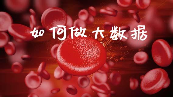 如何做大数据_https://m.qdlswl.com_恒指德指直播室_第1张
