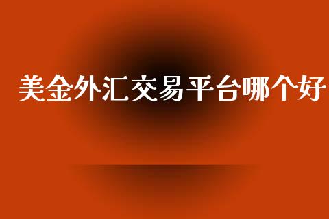 美金外汇交易平台哪个好_https://m.qdlswl.com_恒指德指直播室_第1张